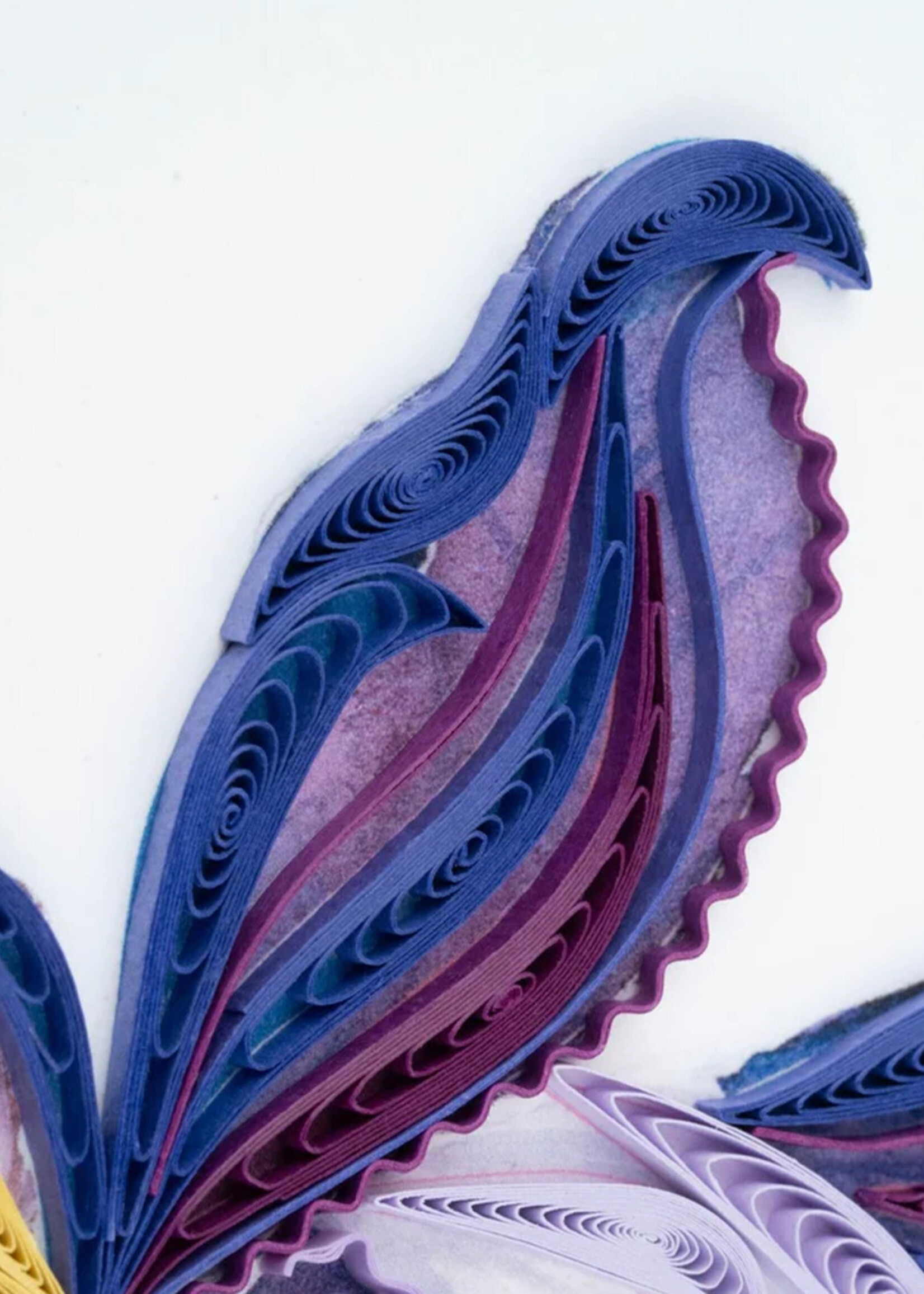 Quilling Cards Iris Bloom Quilling Card