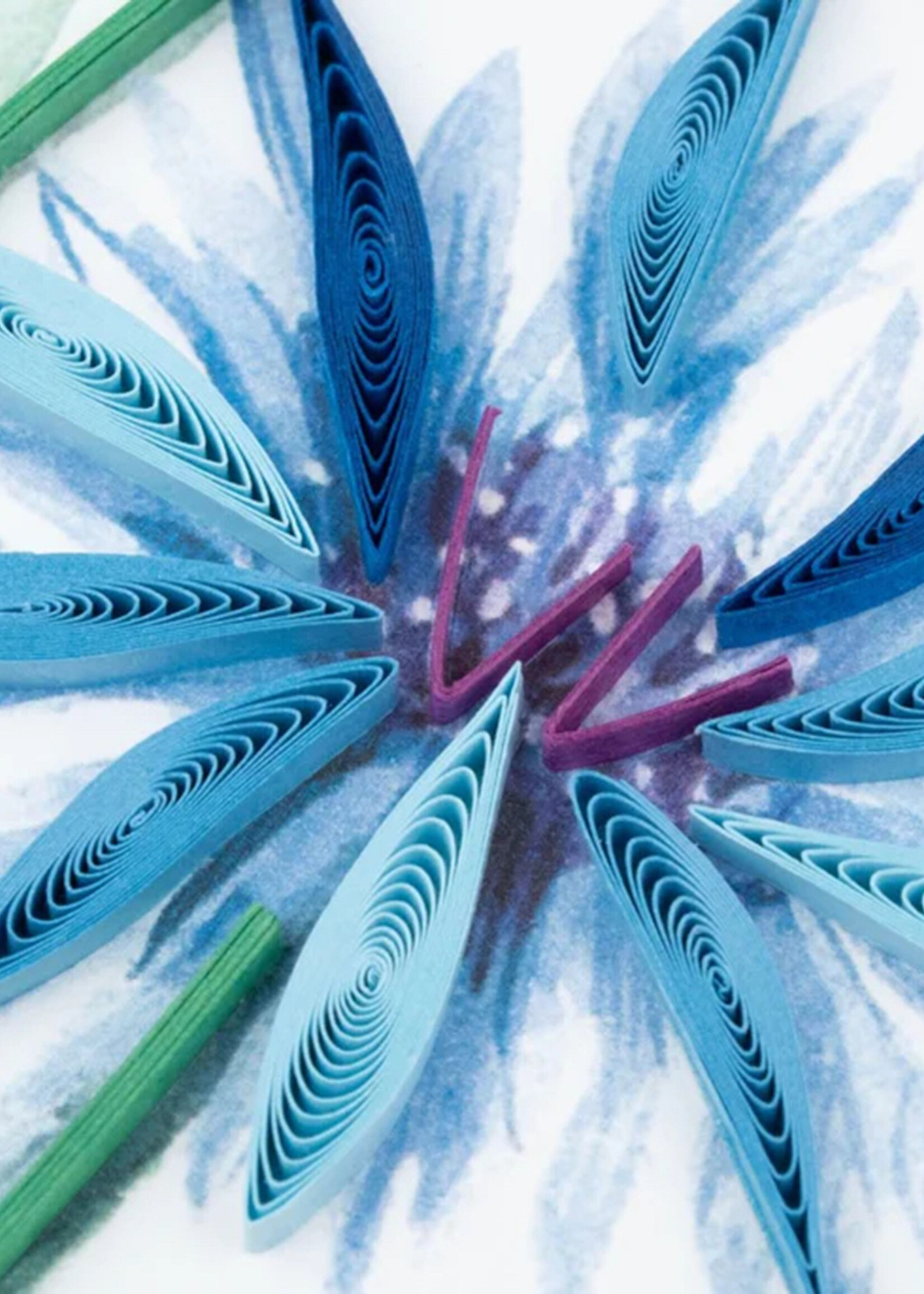 Quilling Cards Blue Cornflower & Poppies Quilling Card