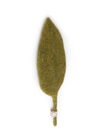 Gry and Sif Small Green Felt Leaf