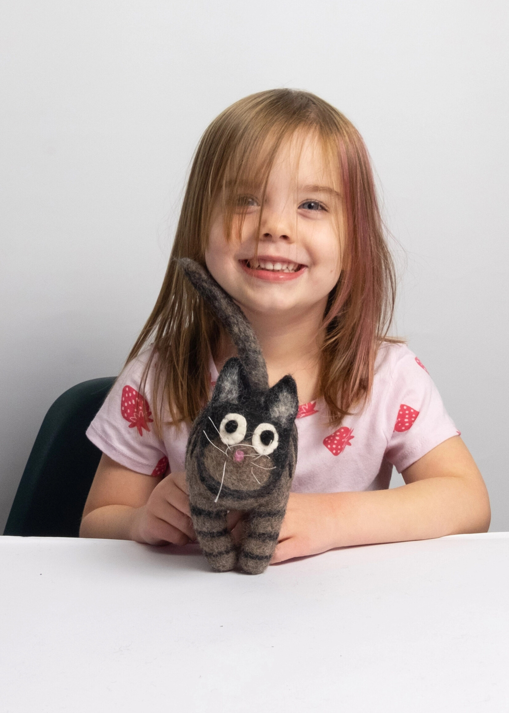 The Winding Road Felt Toy Cat
