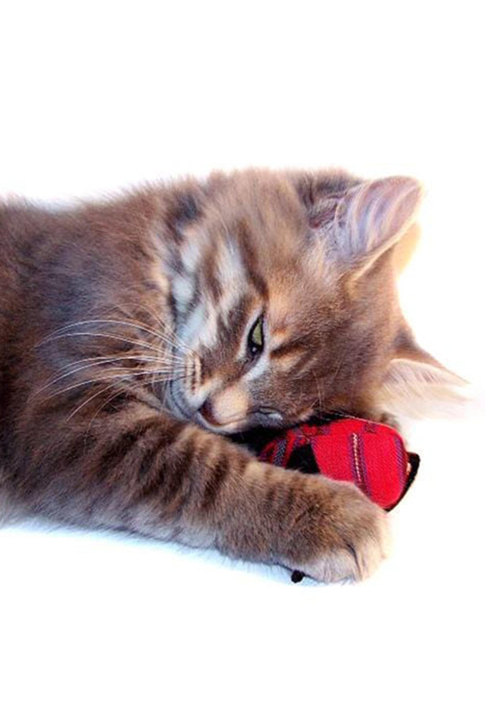 Upavim Organic Catnip Mice Cat Toy - Assorted Colors