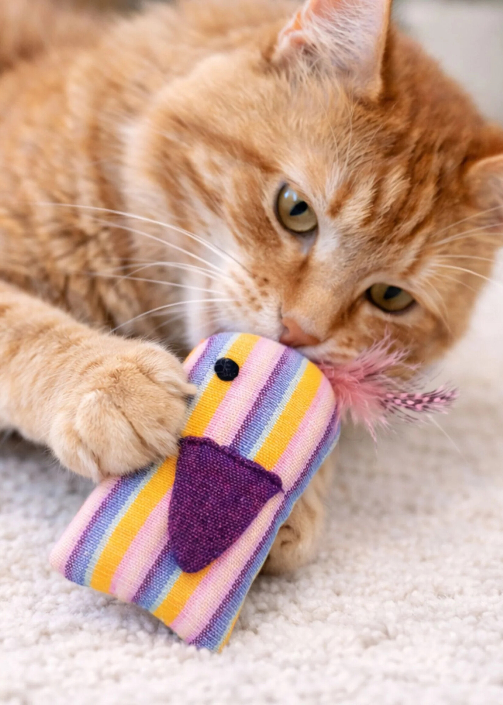 Upavim Organic Catnip Birdie Cat Toy - Assorted Colors