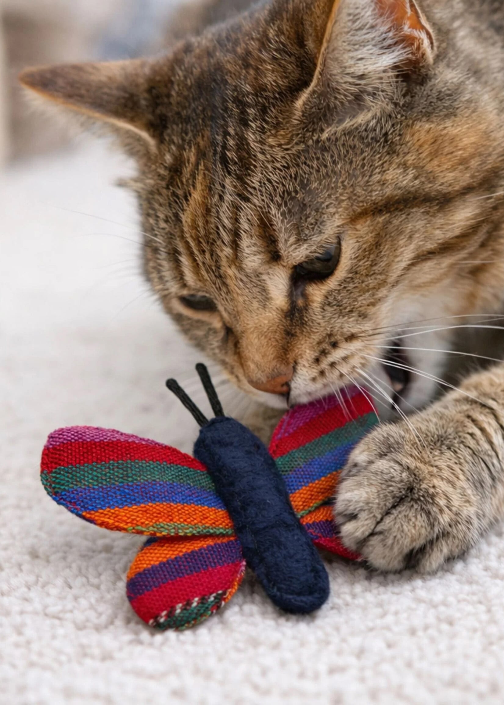 Upavim Colorful Butterfly Cat Toy