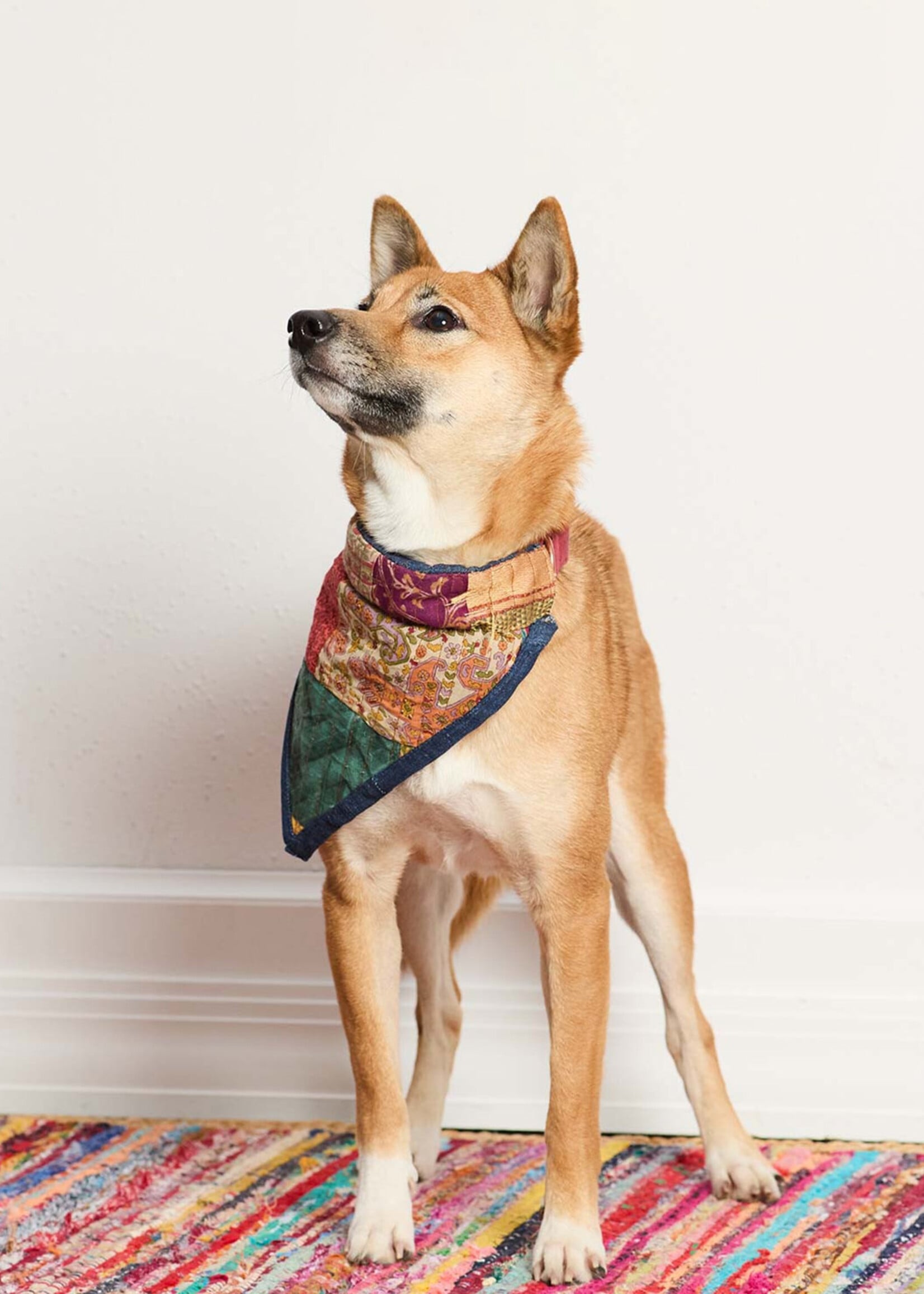SERRV Upcycled Sari Pet Bandana
