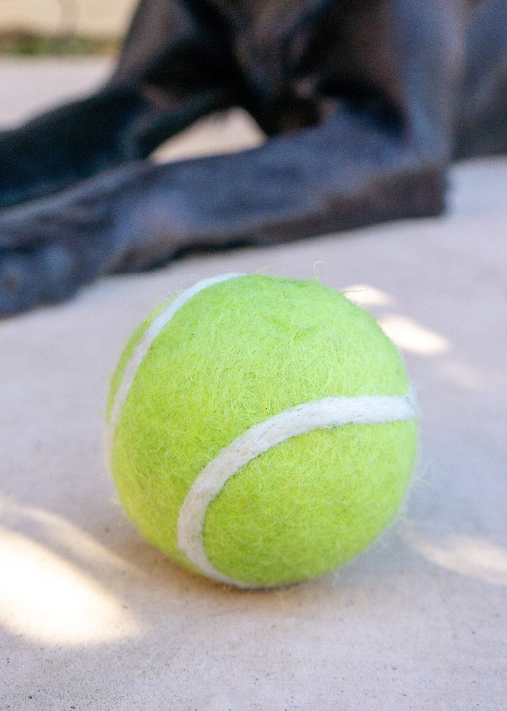 Friendsheep Felt Tennis Ball Pet Toy