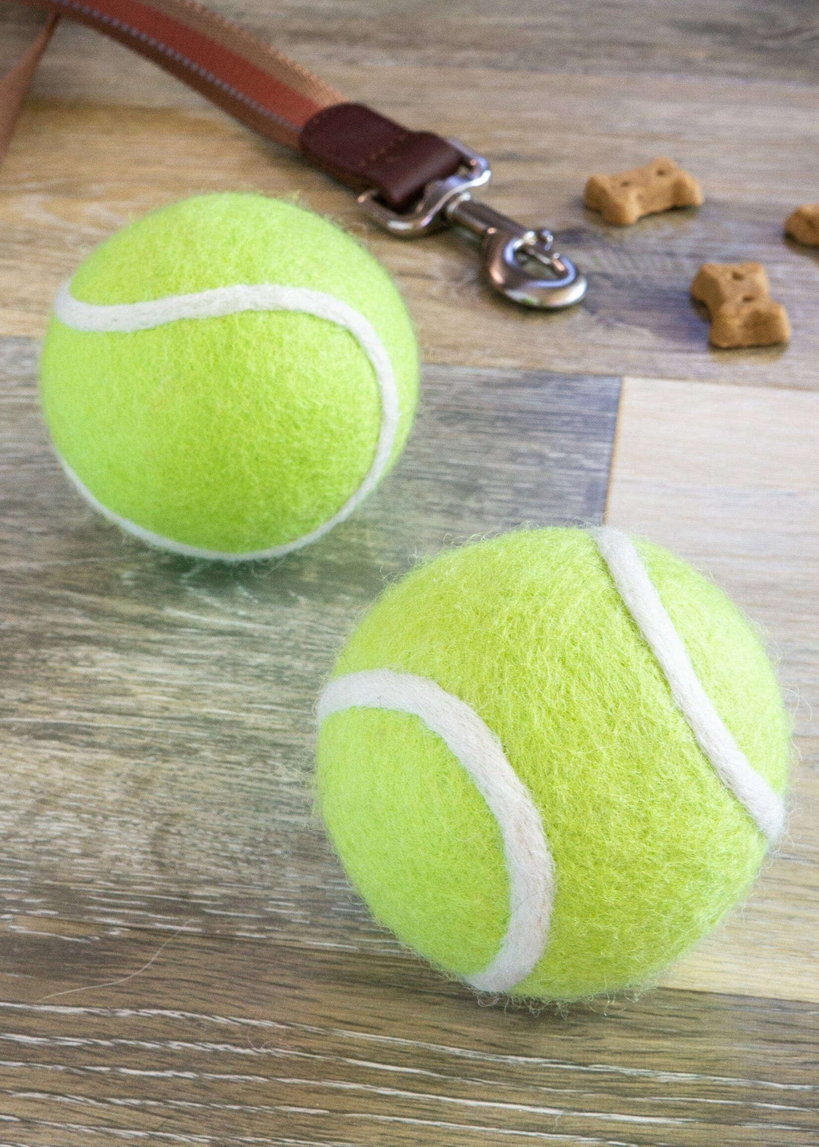 Friendsheep Felt Tennis Ball Pet Toy