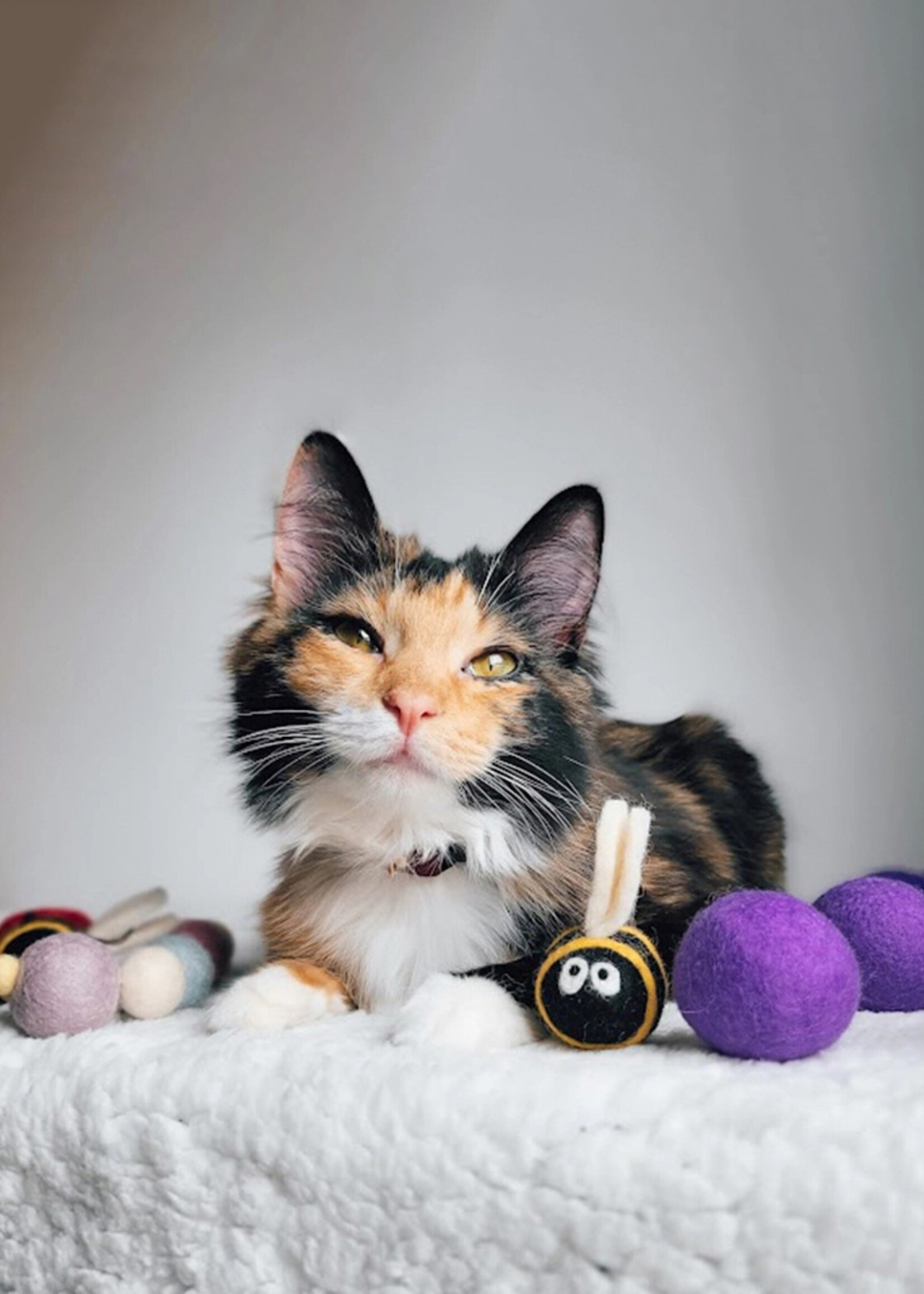 Felt Bee Cat Toy