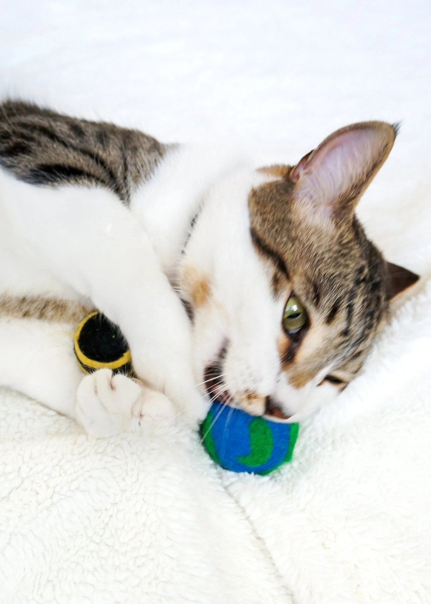 Felt Bee Cat Toy