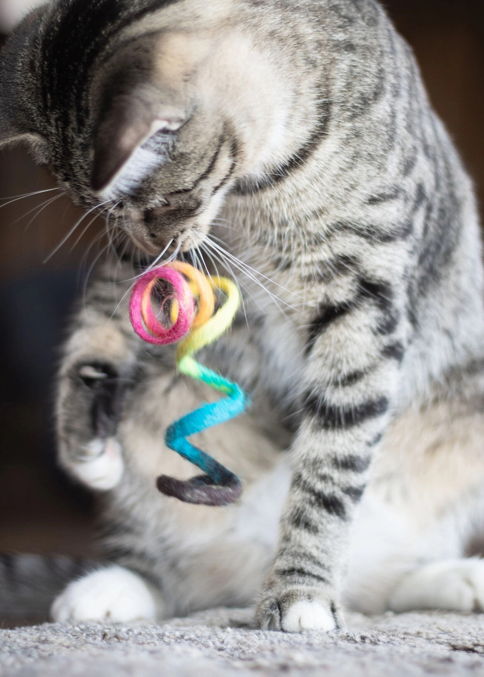 Friendsheep Rainbow Spring Cat Toy