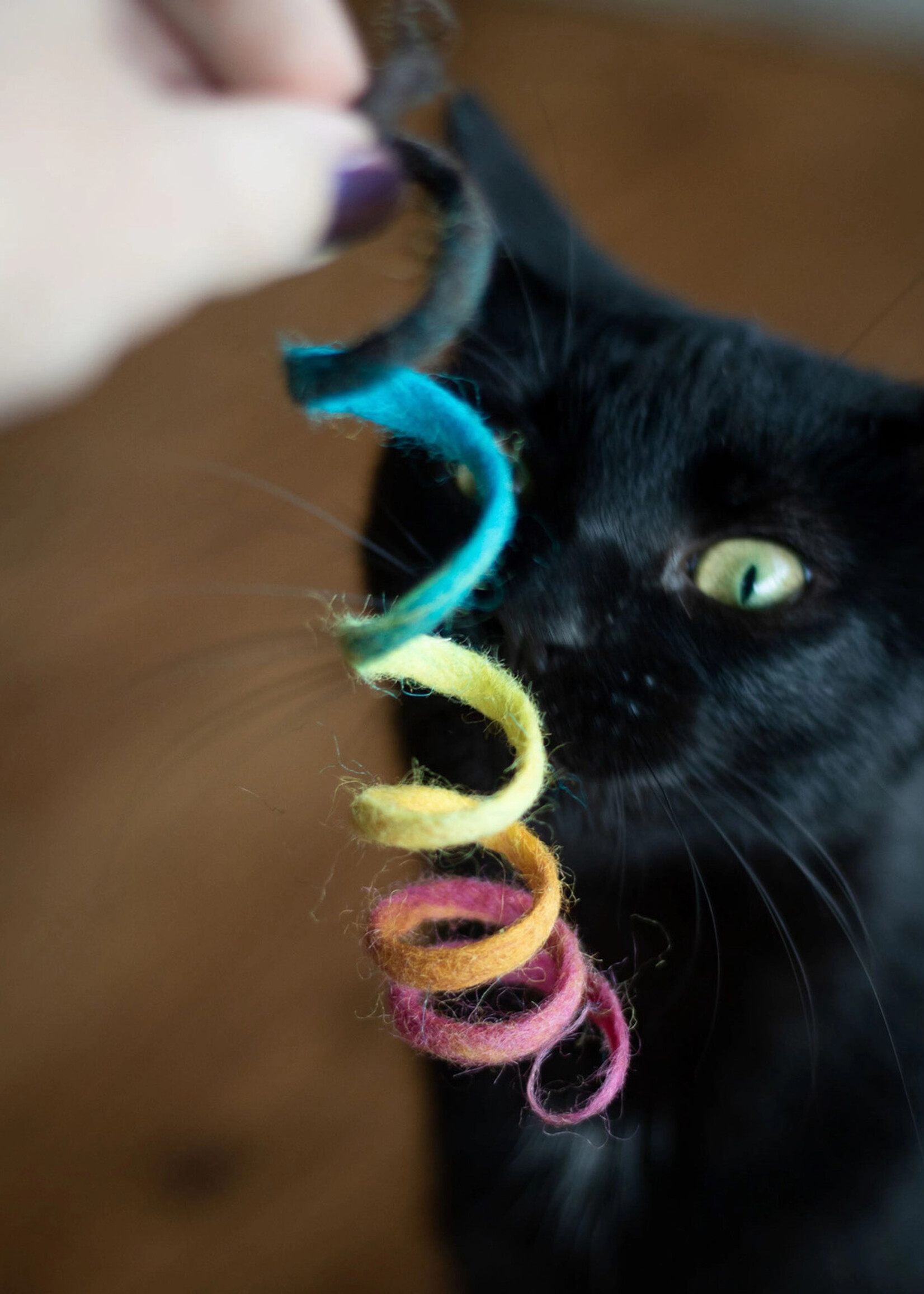 Friendsheep Rainbow Spring Cat Toy