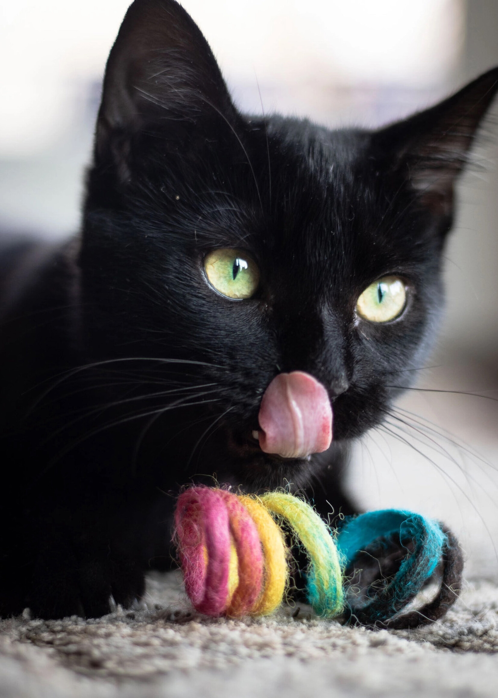 Friendsheep Rainbow Spring Cat Toy