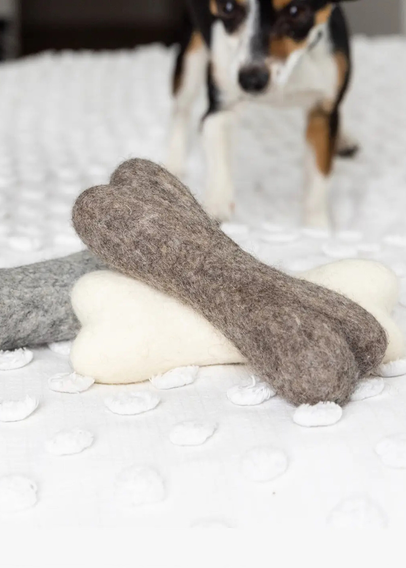 Fibres of Life Felt Bone Dog Toy