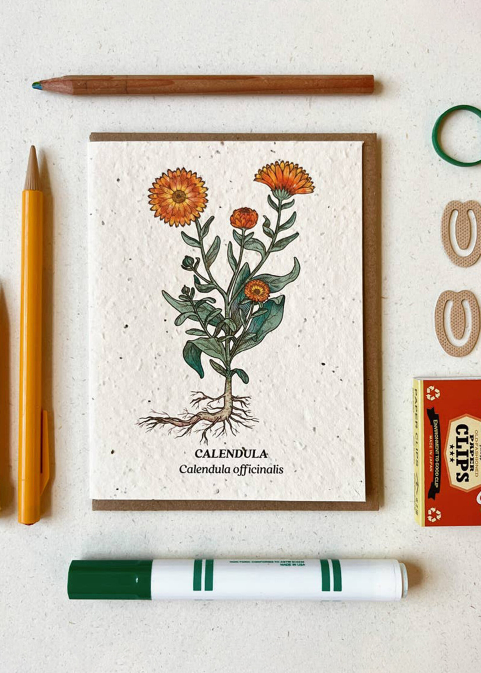 Small Victories Calendula Flower Plantable Card