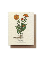 Small Victories Calendula Flower Plantable Card