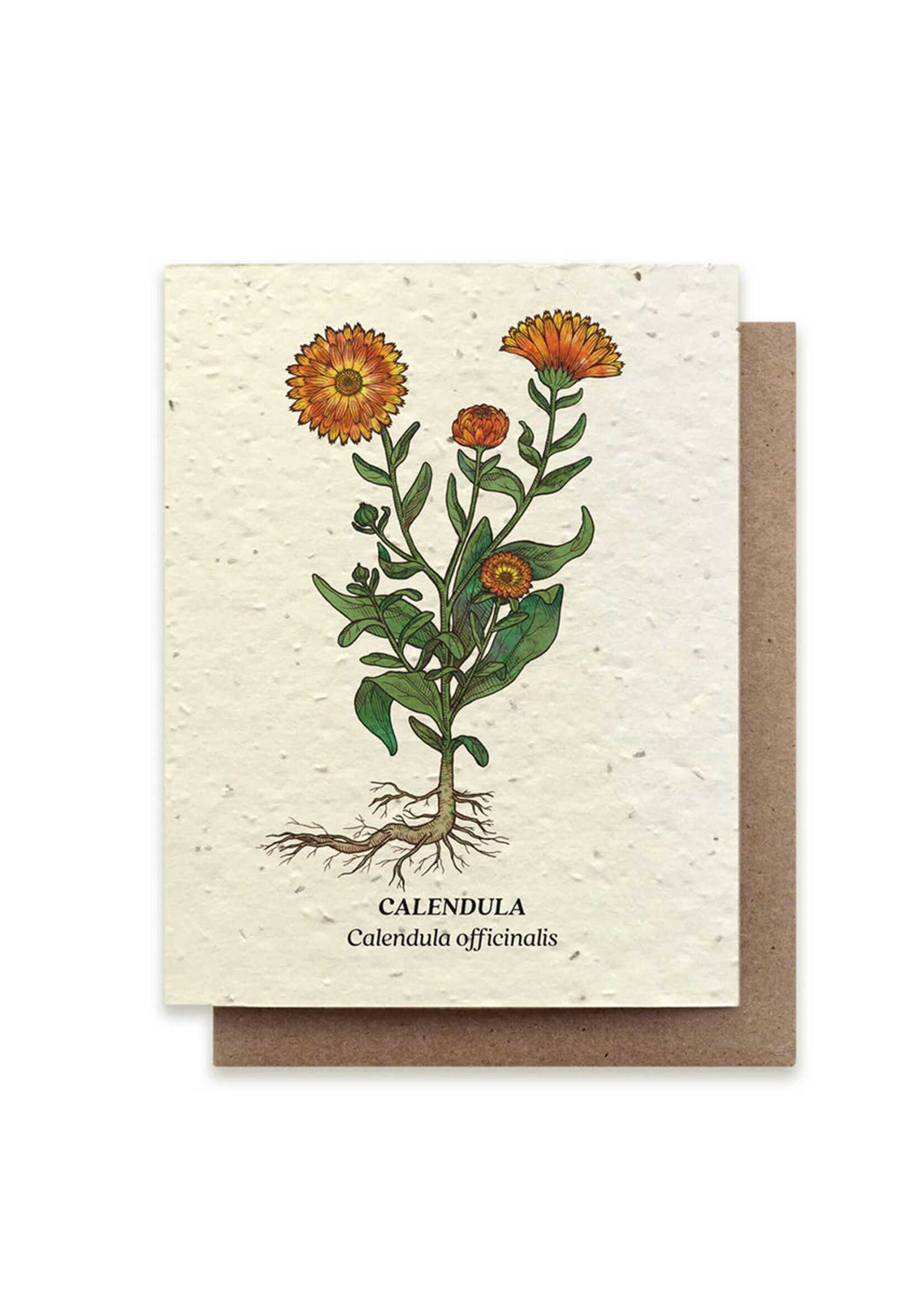 Small Victories Calendula Flower Plantable Card