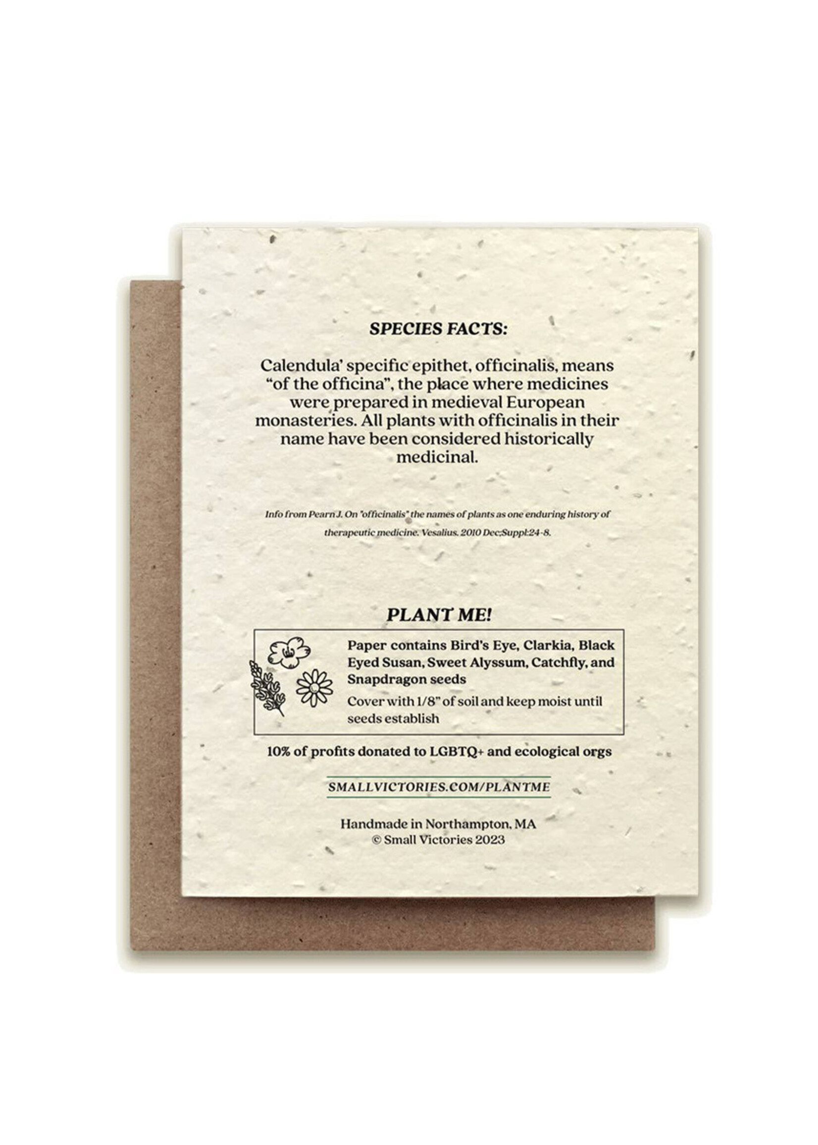 Small Victories Calendula Flower Plantable Card