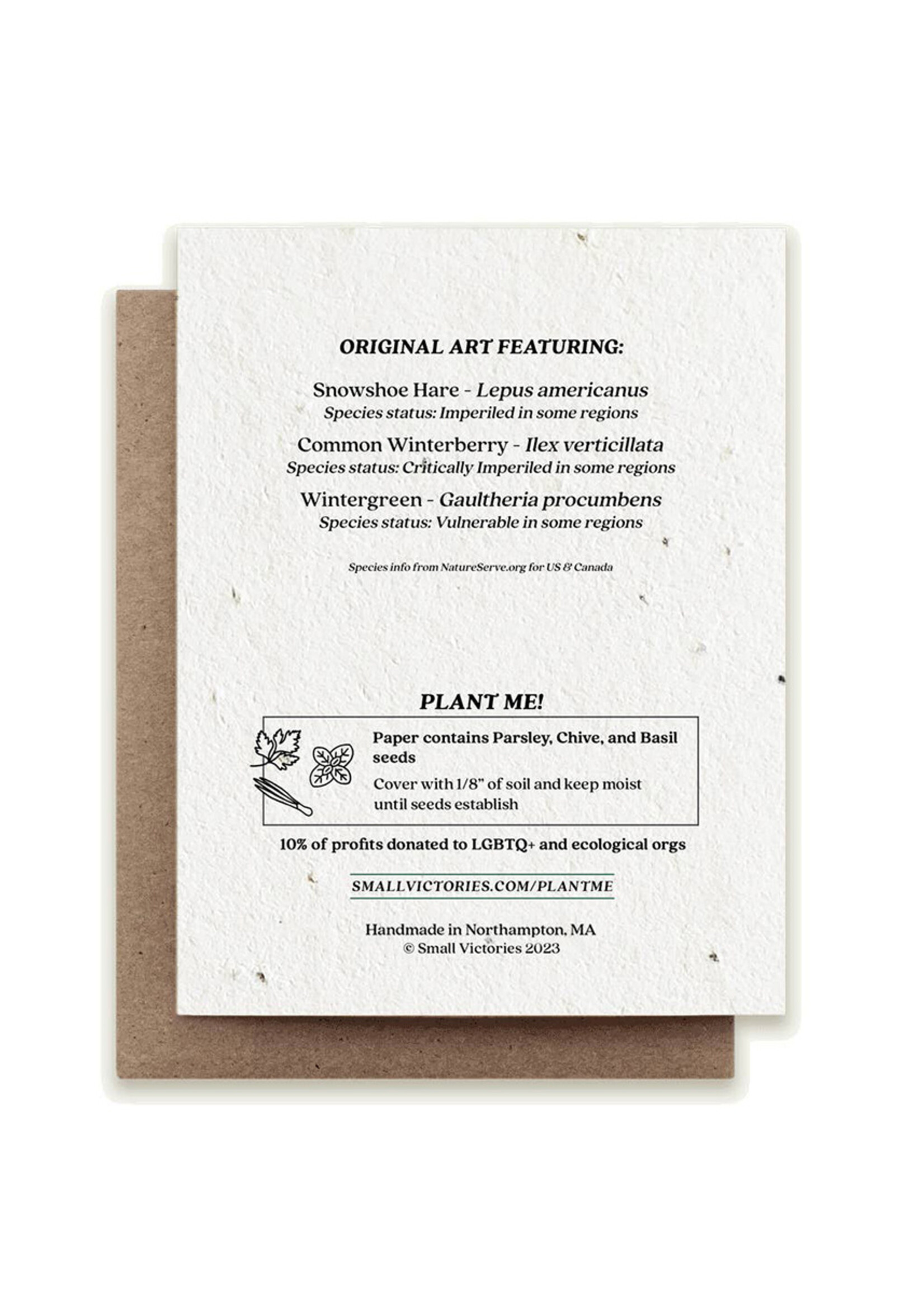 Small Victories Season's Greetings Snowshoe Hare Plantable Card