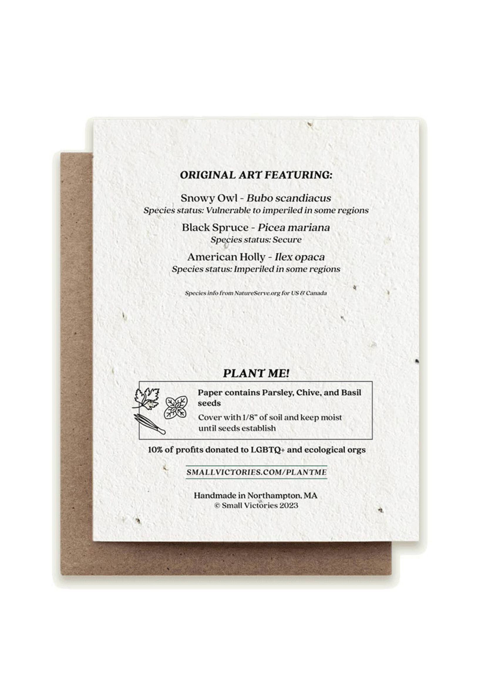 Small Victories Winter Snowy Owl Plantable Card