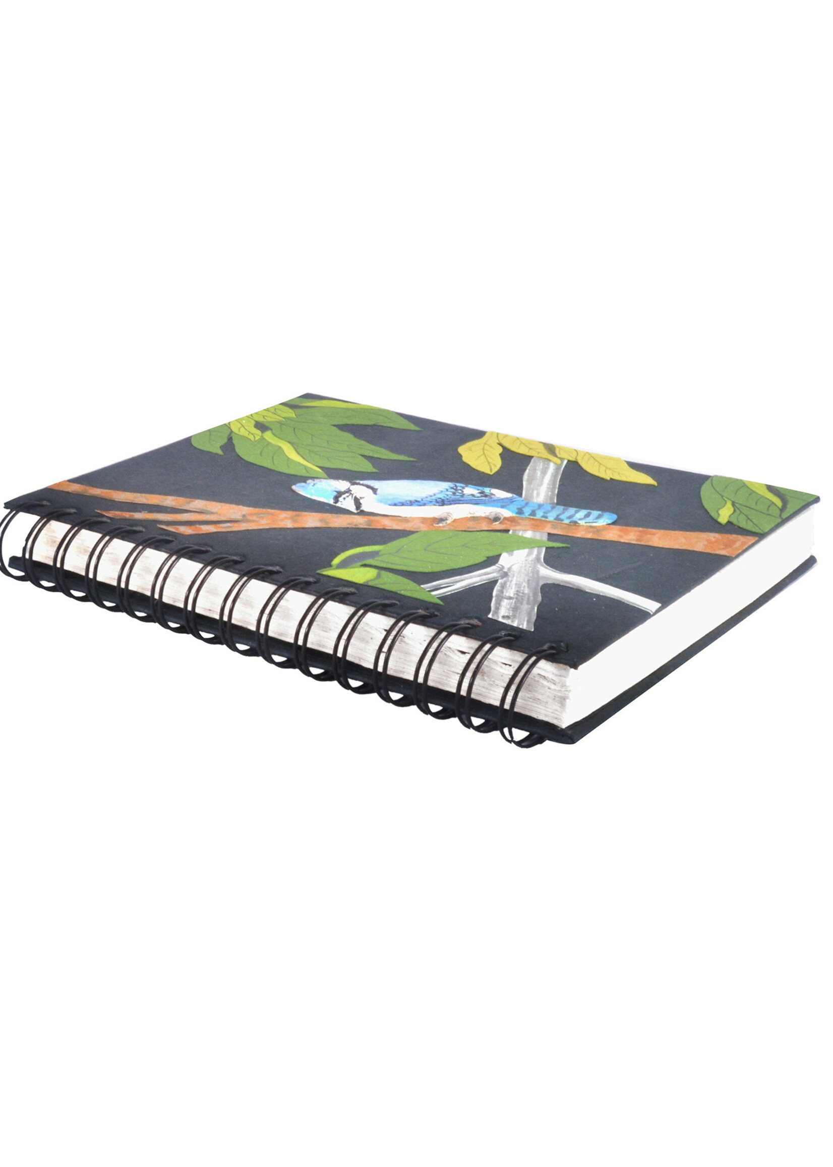 Mr. Ellie Pooh Blue Jay Notebook