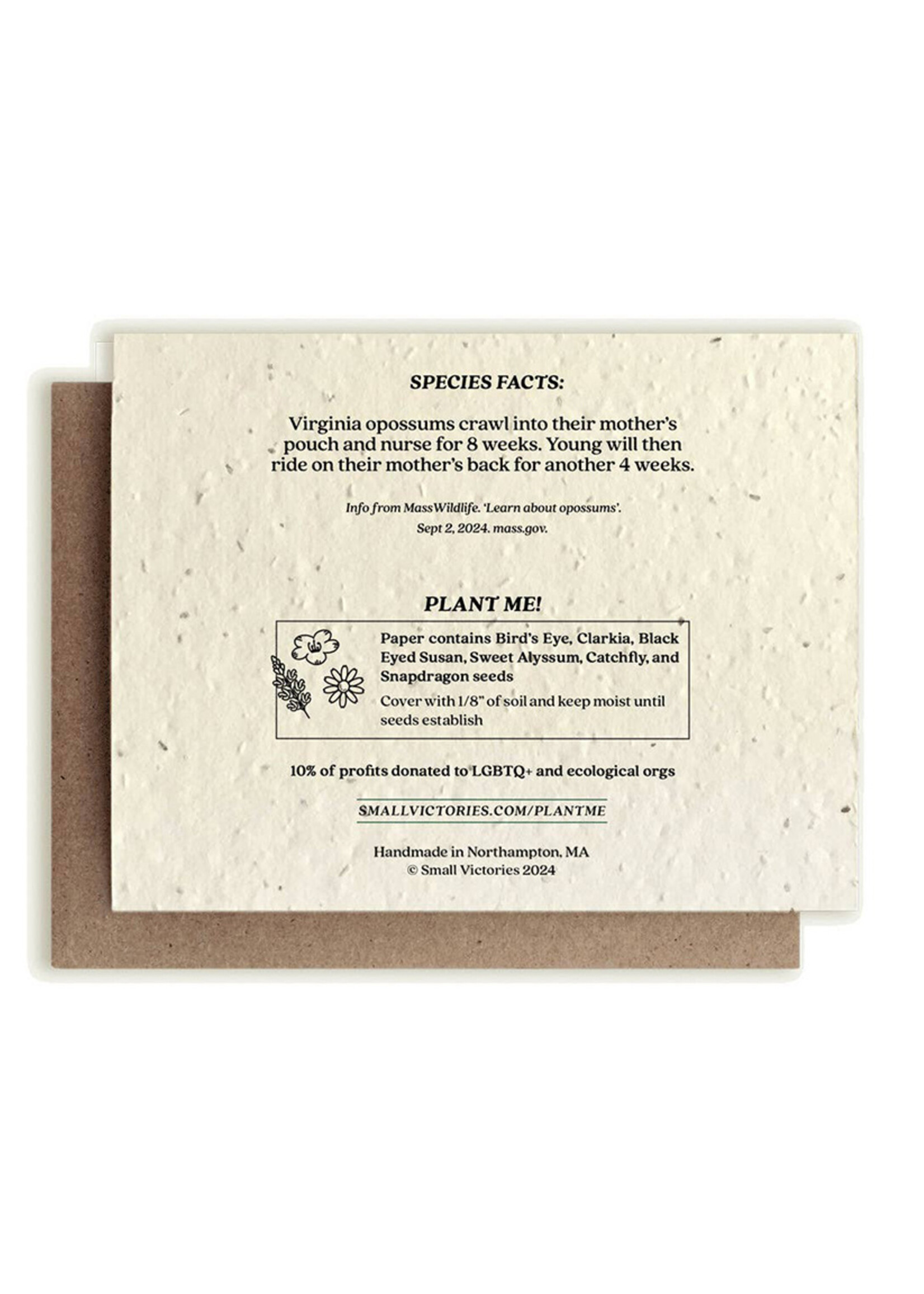 Small Victories Opossum Stockings Plantable Card