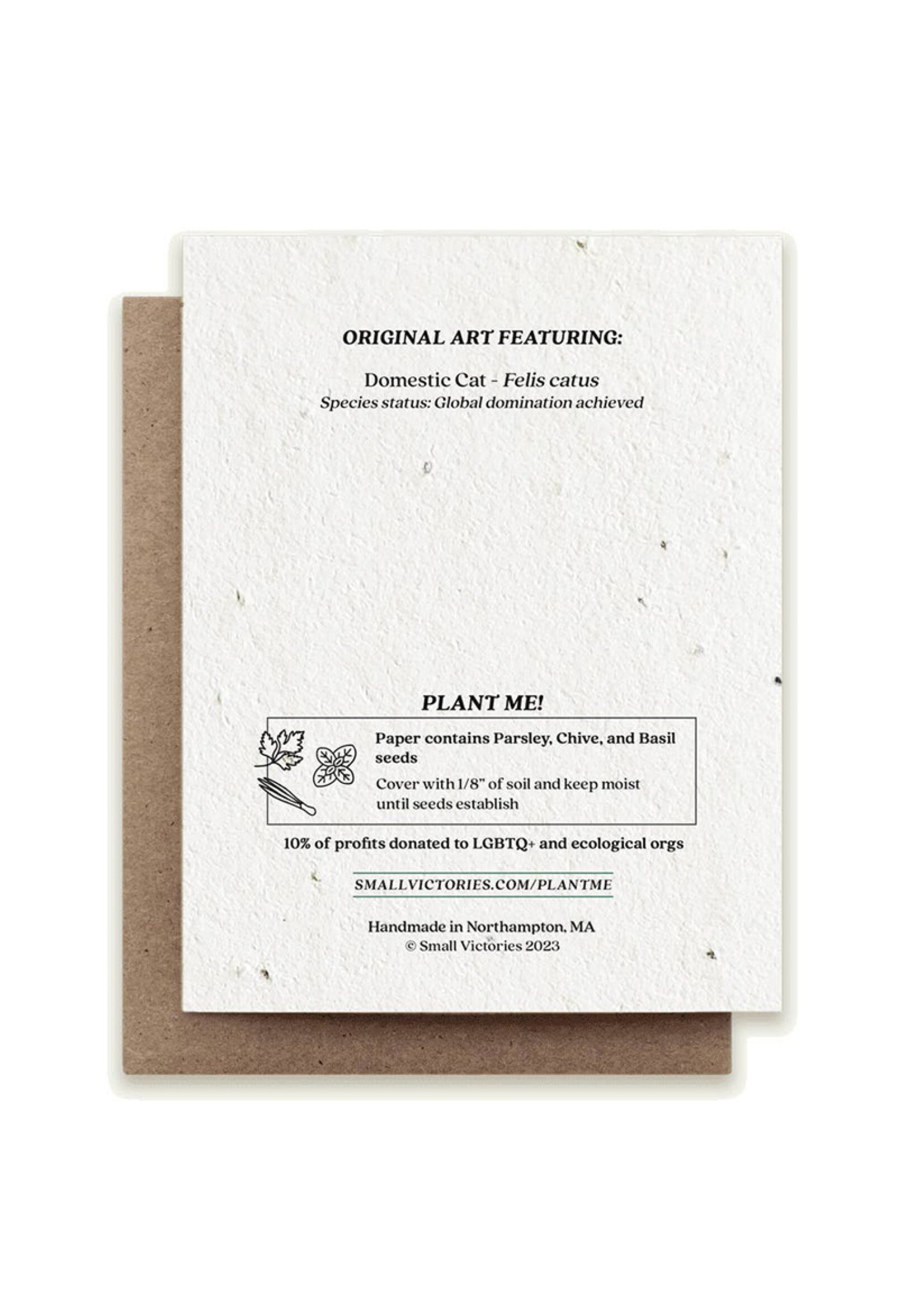 Small Victories Gingerbread Cat Plantable Card