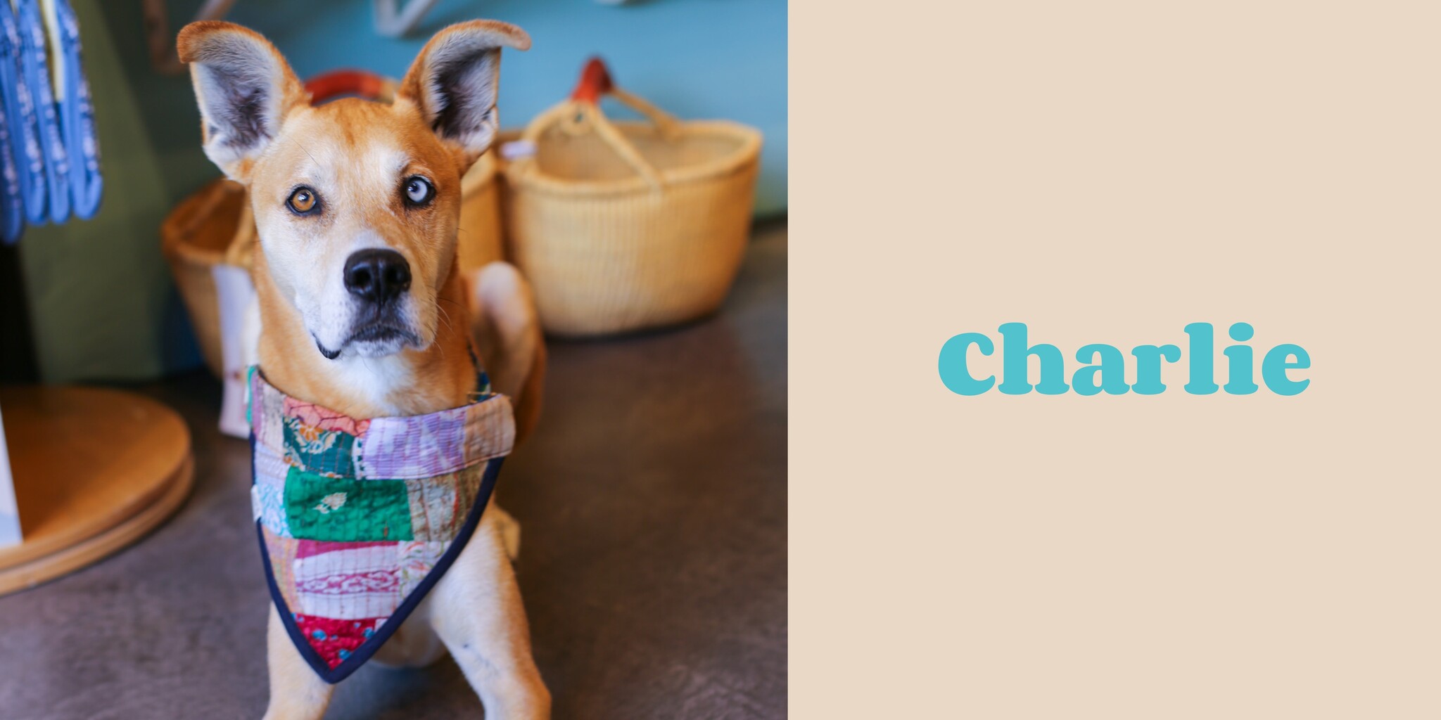 Staff Favorites: Charlie's Q&A