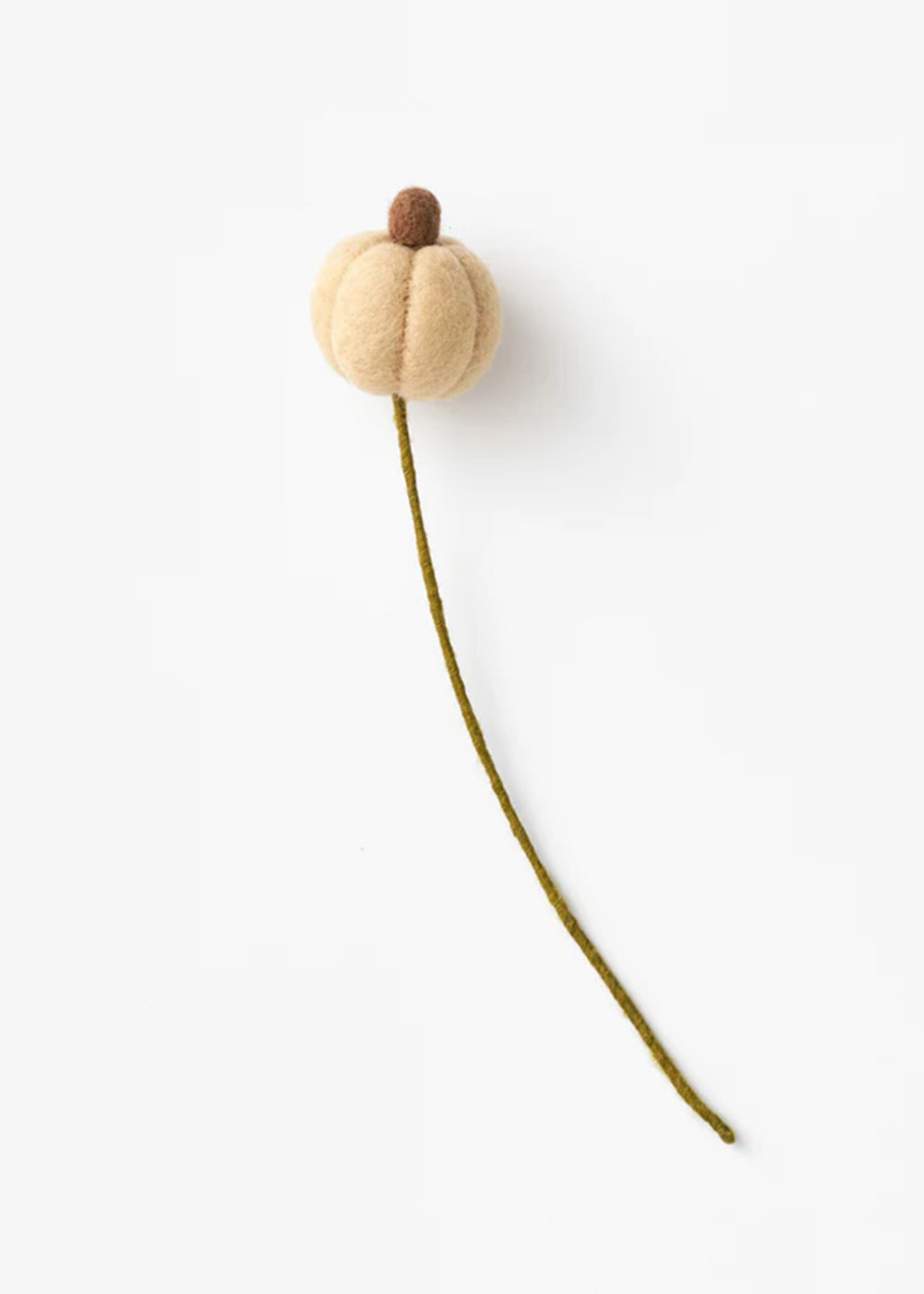 Global Goods Partners Felt Pumpkin Stem