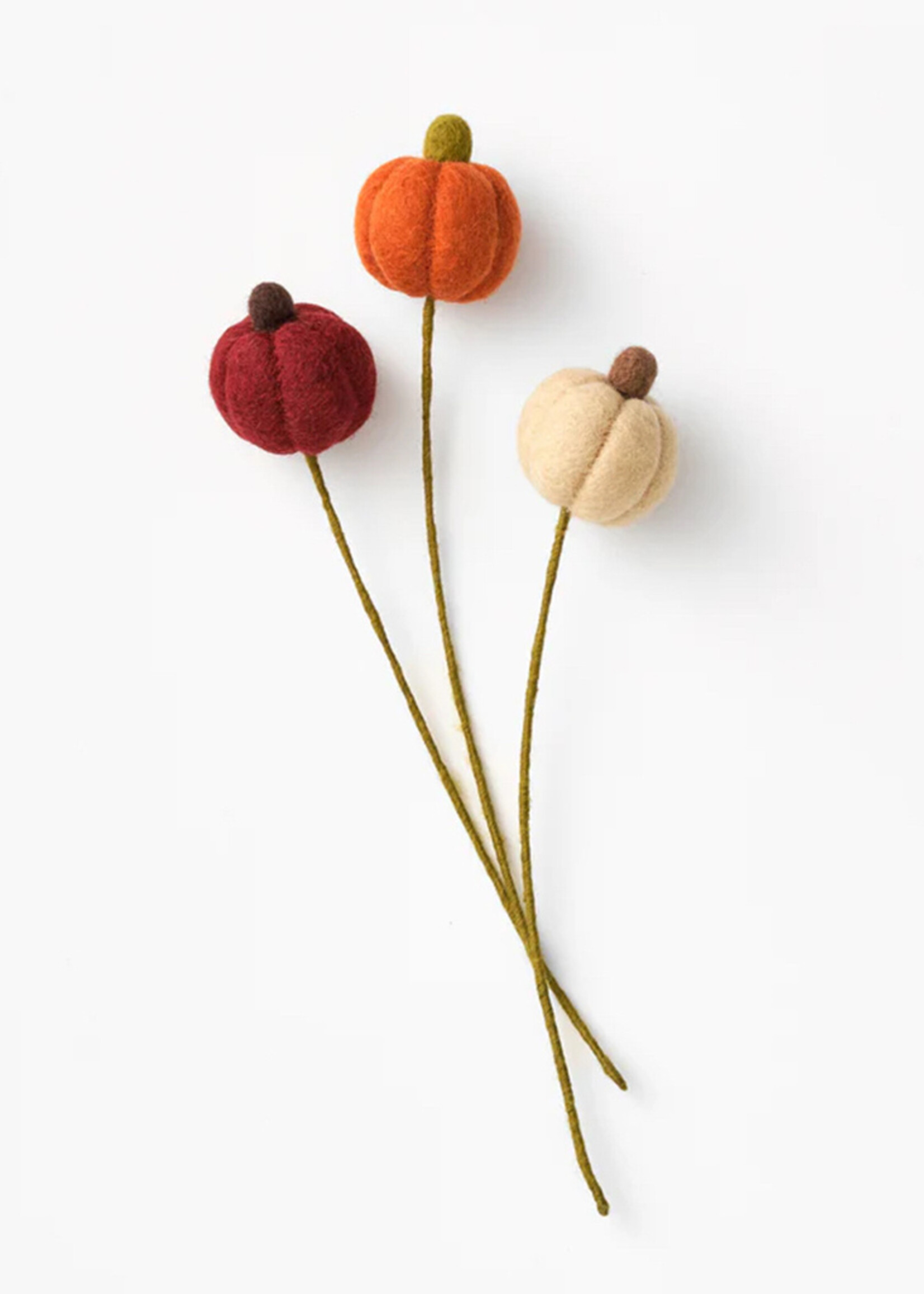 Global Goods Partners Felt Pumpkin Stem