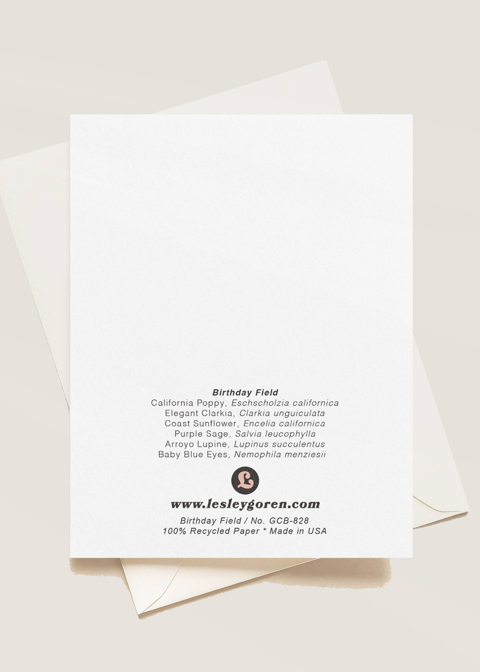 Lesley Goren Studio Happy Birthday Field Card