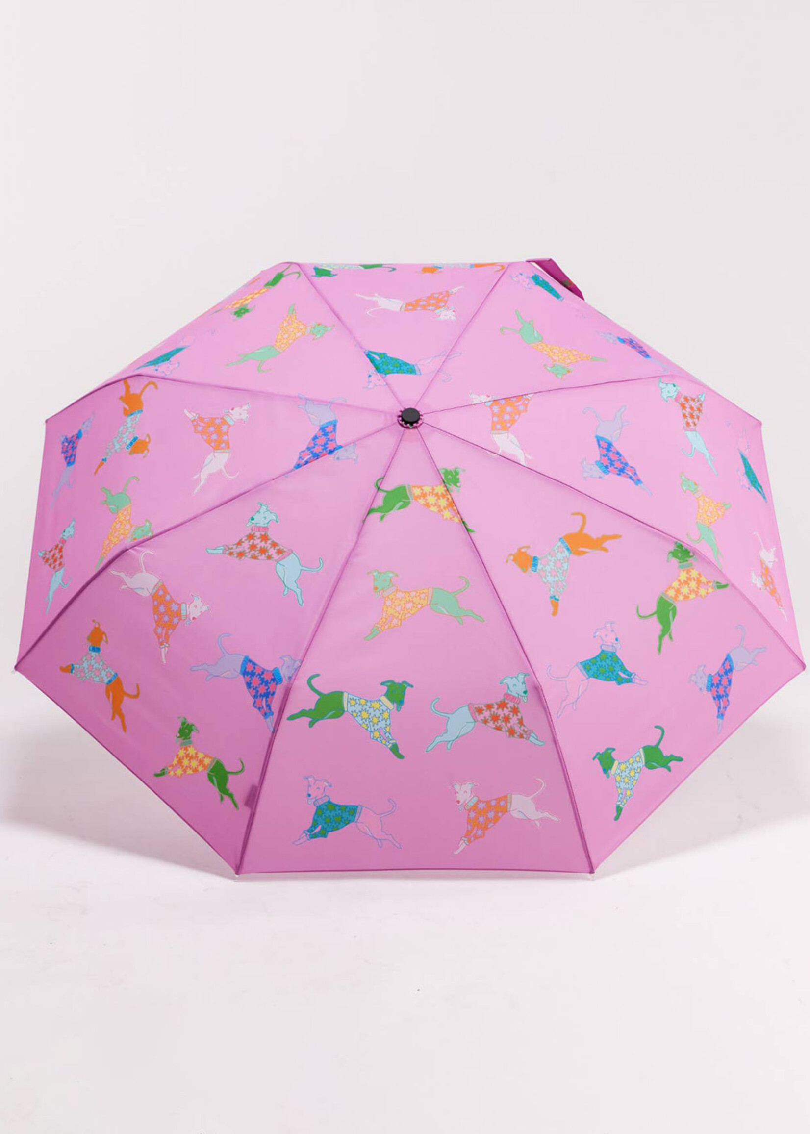 Original Duckhead Dogs in Pink Duckhead Umbrella
