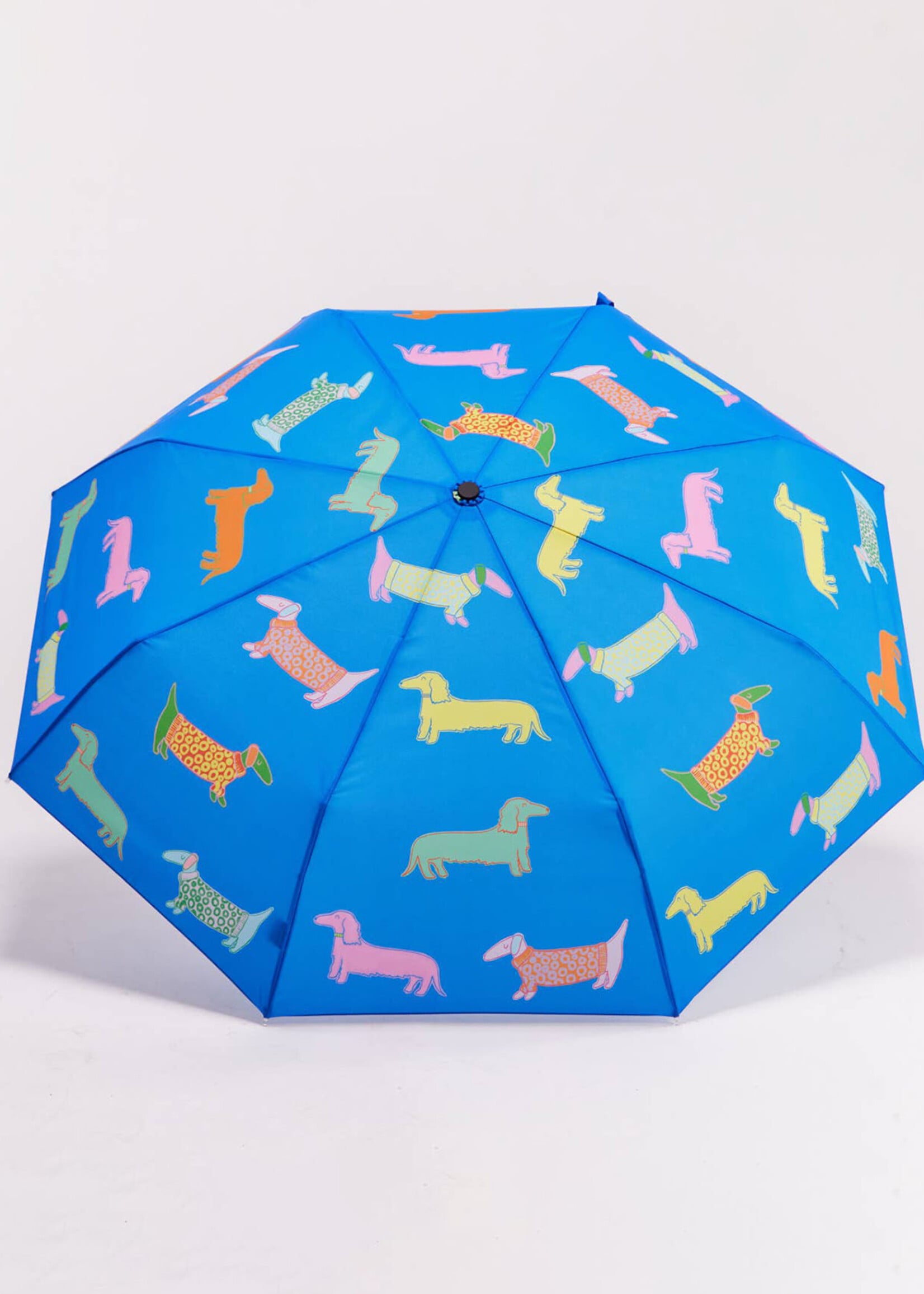 Original Duckhead Dogs in Blue Duckhead Umbrella