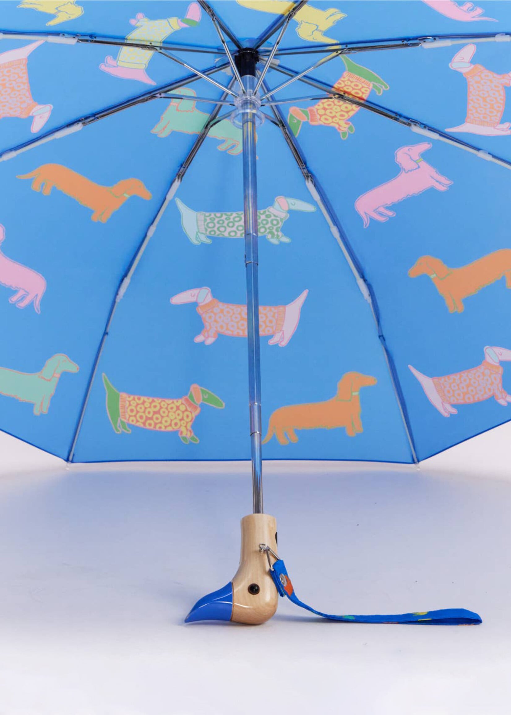 Original Duckhead Dogs in Blue Duckhead Umbrella
