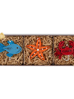 Quilling Cards Quilled Ornament Box Set - Sea Life