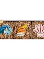 Quilling Cards Quilled Ornament Box Set - Seashells