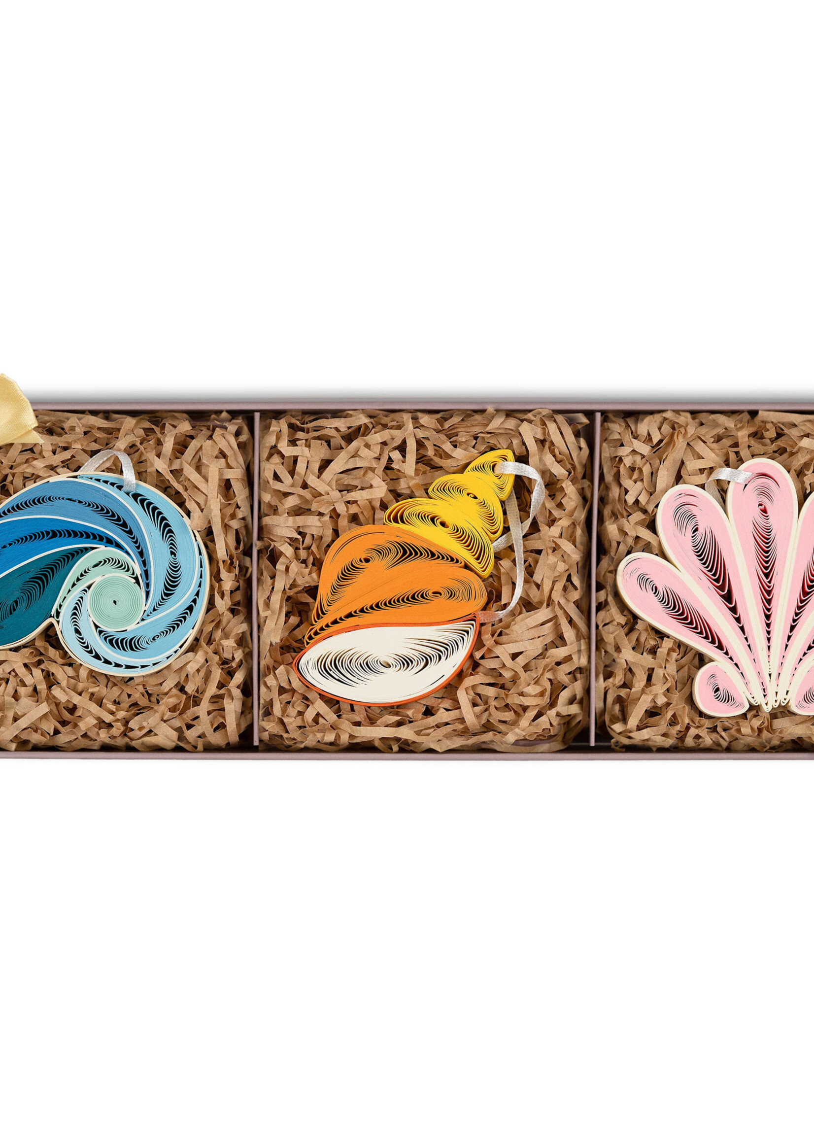 Quilling Cards Quilled Ornament Box Set - Seashells