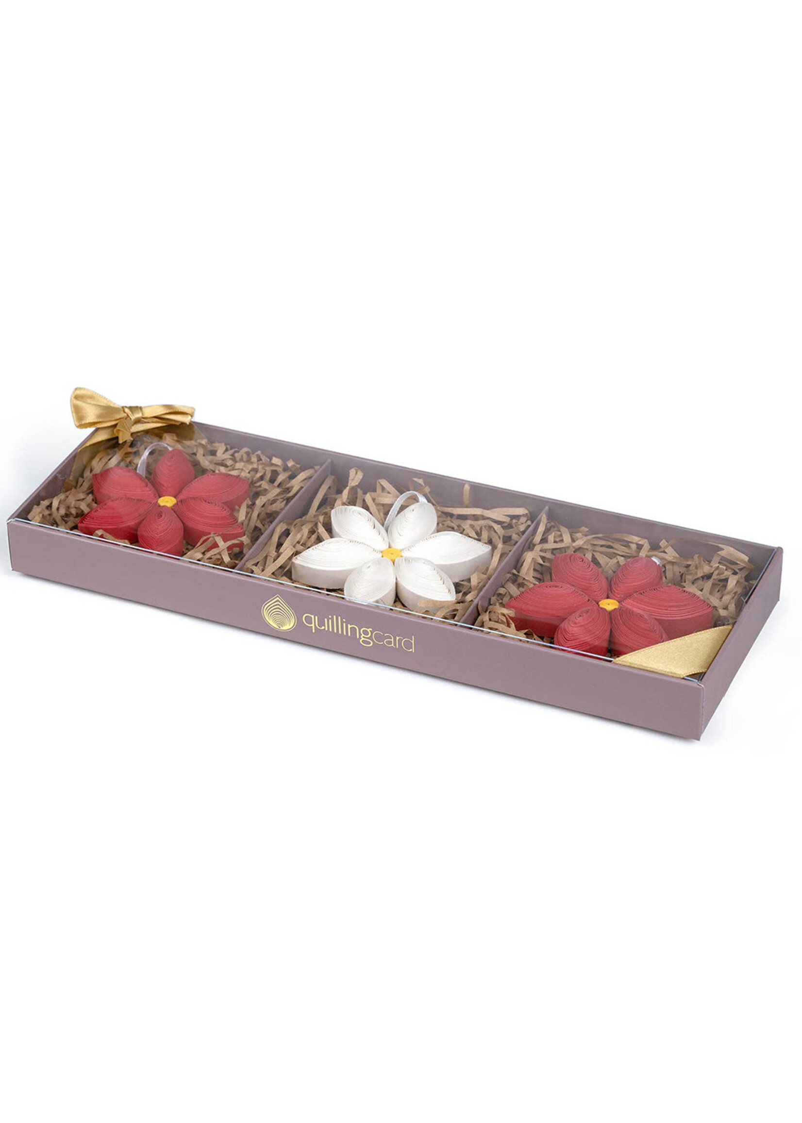 Quilling Cards Quilled Ornament Box Set - Poinsettia