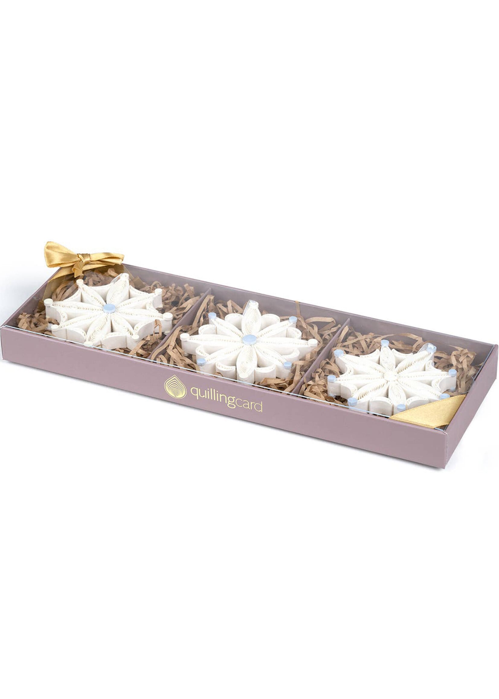 Quilling Cards Quilled Ornament Box Set - Snowflakes