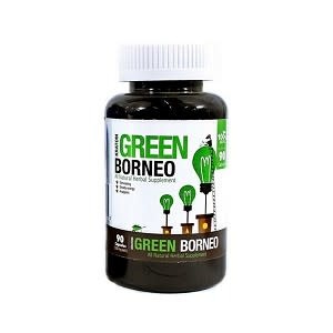 Bumble Bee - Kratom Capsule Green Vein Borneo Premium 90ct