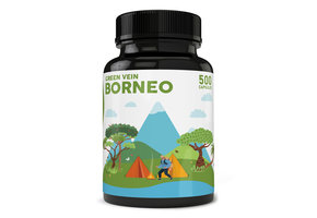 Pure Zen - Kratom Capsule Green Vein Borneo 500ct