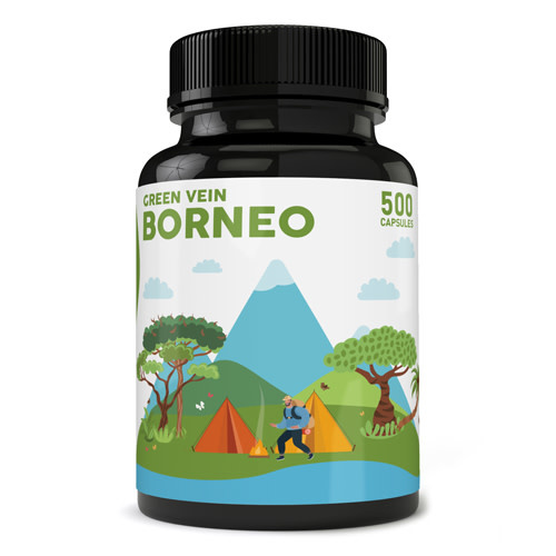 Pure Zen - Kratom Capsule Green Vein Borneo 500ct