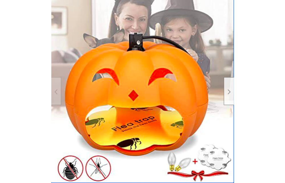 Best Fruit Flea Traps Indoor 2 Glue Discs, Indoor Pest Control Trap (Pumpkin) 2022