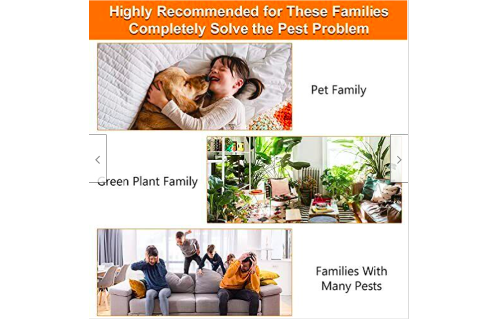 Best Fruit Flea Traps Indoor 2 Glue Discs, Indoor Pest Control Trap (Pumpkin) 2022