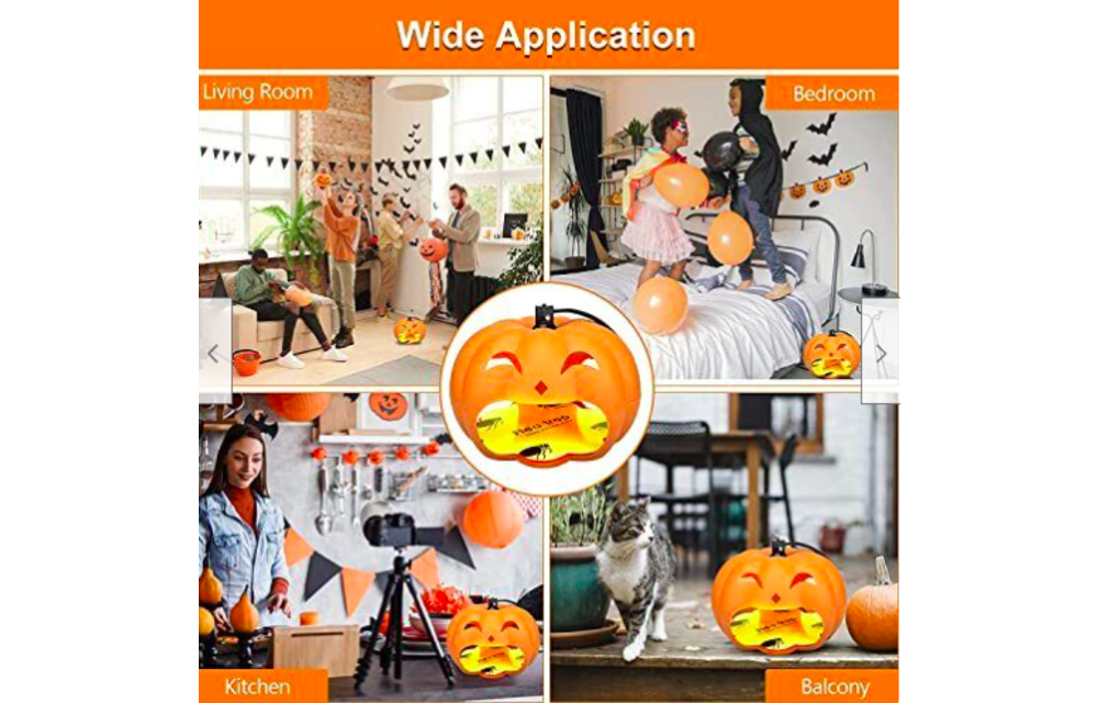 Best Fruit Flea Traps Indoor 2 Glue Discs, Indoor Pest Control Trap (Pumpkin) 2022
