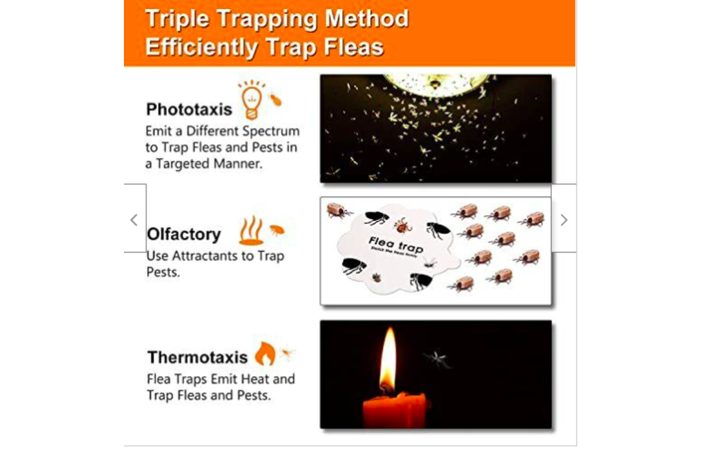 Best Fruit Flea Traps Indoor 2 Glue Discs, Indoor Pest Control Trap (Pumpkin) 2022