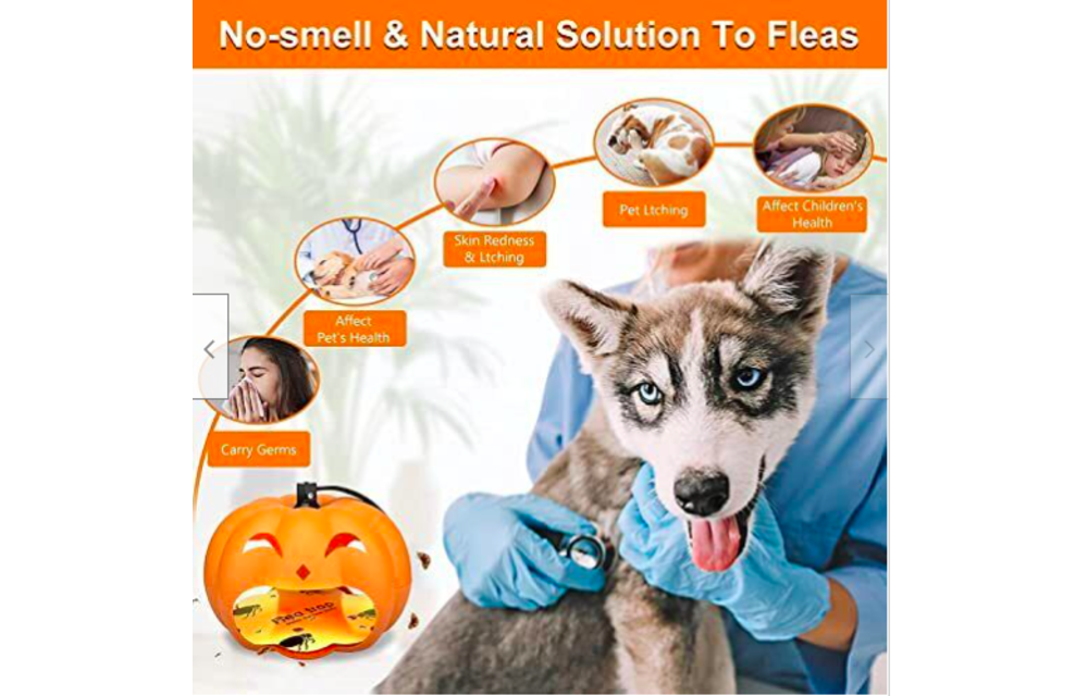 Best Fruit Flea Traps Indoor 2 Glue Discs, Indoor Pest Control Trap (Pumpkin) 2022