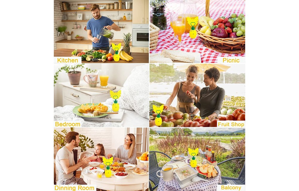 Best Fruit Flea Traps Indoor with 8 pcs Sticky Pads ,2 Pack (Pineapple) 2022