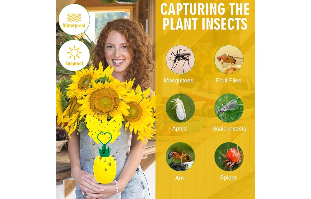 Best Fruit Flea Traps Indoor with 8 pcs Sticky Pads ,2 Pack (Pineapple) 2022