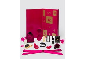 Adult Sex Toys - Lovehoney X We-Vibe Sweet Seduction Couple’s Sex Toy Gift Set