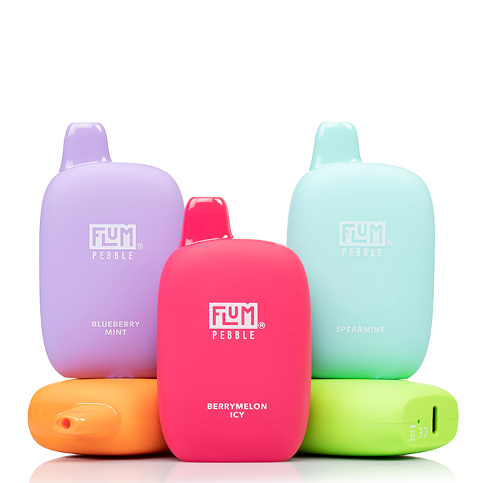 Flum - Disposable Vape PEBBLE Rechargeable 6000 Puffs