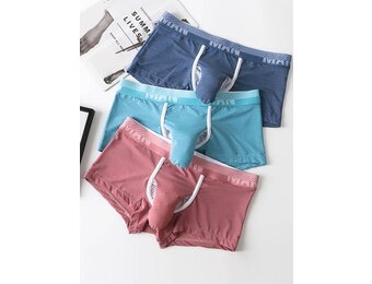 Mens Ice Silk Elephant Nose Boxer Briefs Pouch Underwear 3 pairs